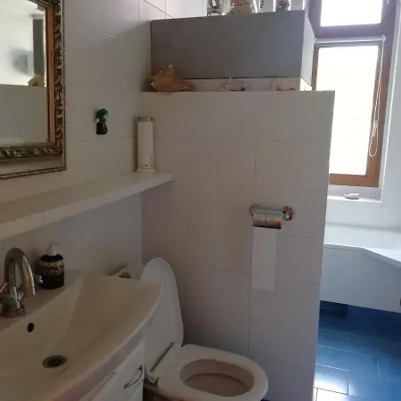 Haffnera Nadmorski *