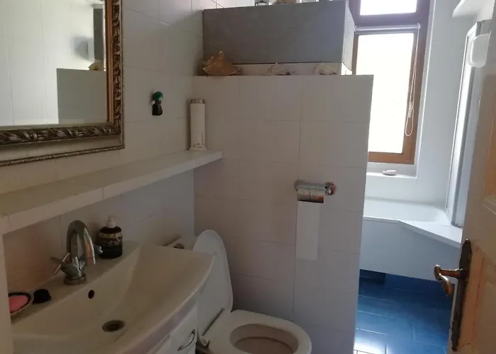 Haffnera Nadmorski *